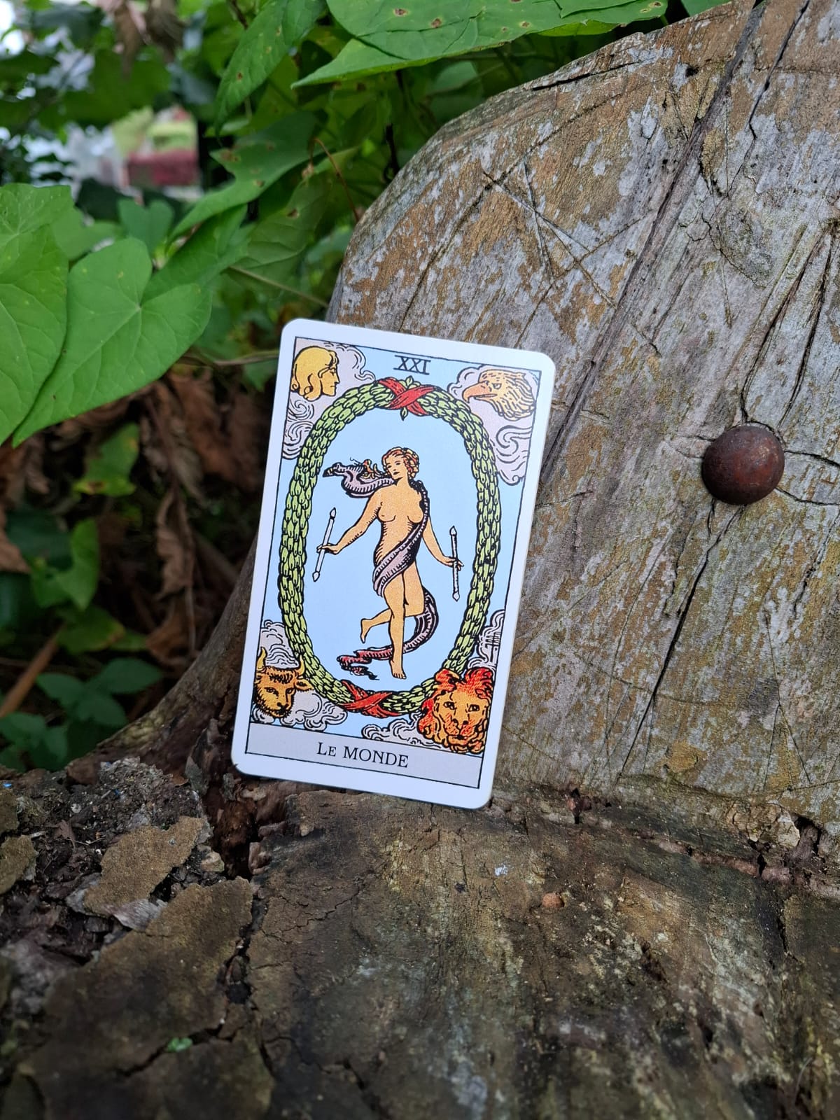 La Carte du Monde dans le Tarot : Et si la vraie réussite, c’était l’équilibre ?