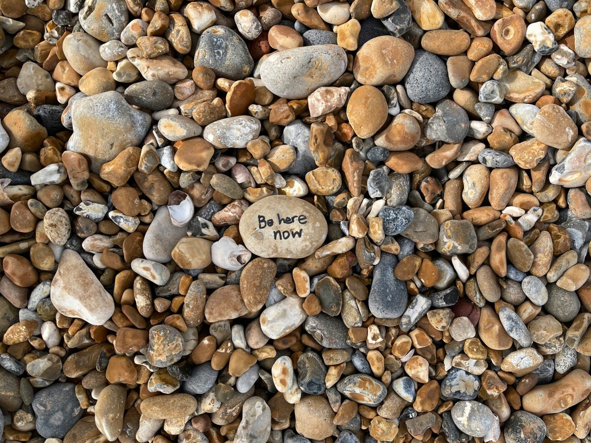 Derrière le tarologue, un être&nbsp;humain